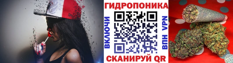 mega рабочий сайт  даркнет официальный сайт  Бошки марихуана VHQ  Курлово 
